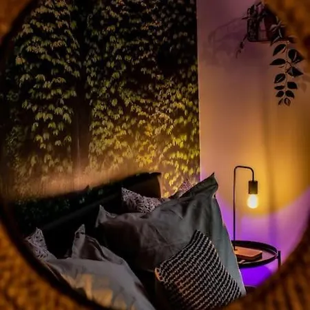 Jungle House - Maison Holiday home Hurtigheim