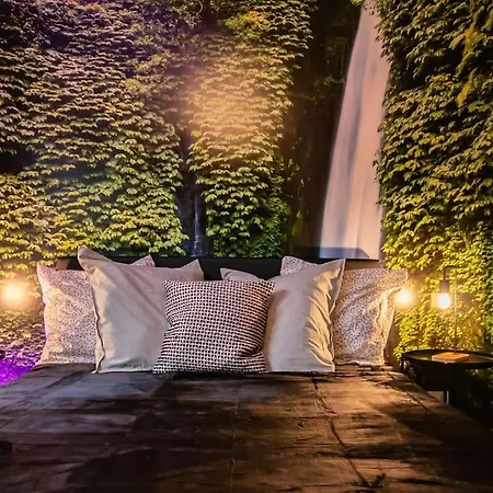 Jungle House - Maison *