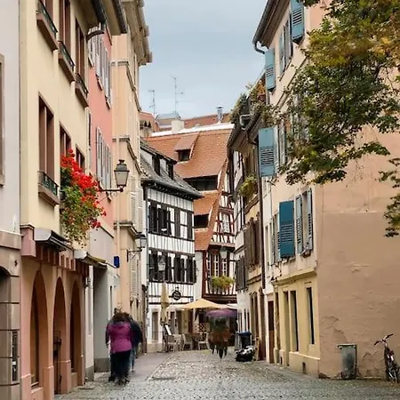 Jungle House - Maison Casa de Férias