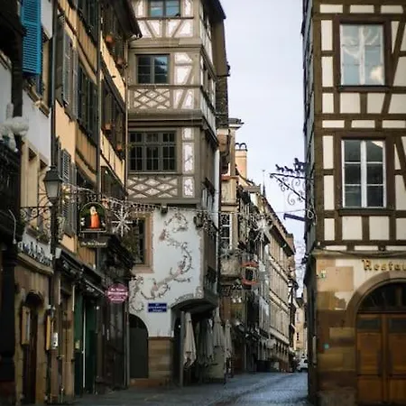 Jungle House - Maison *