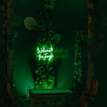 Jungle House - Maison