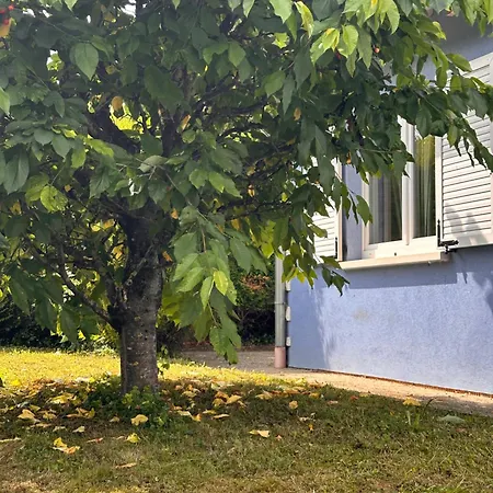 Дом отдыха Jungle House - Maison Hurtigheim
