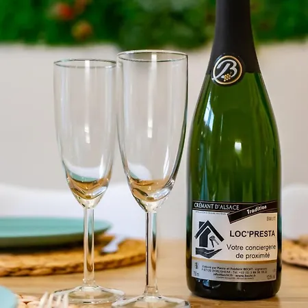 Jungle House - Maison Hurtigheim