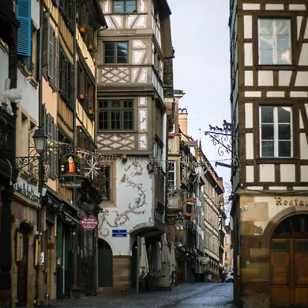 Jungle House - Maison Casa de Férias *