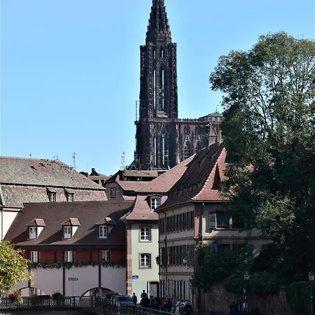 Casa de Férias Jungle House - Maison *